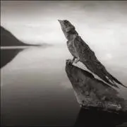 A.Hの画像
