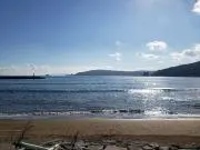 トム