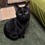 トオル