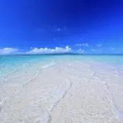 Hornの画像