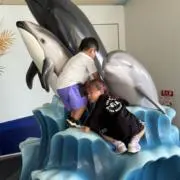 whitehorseの画像