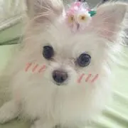 Йatsu