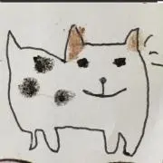 codama˚✧₊⁎の画像