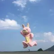 いっちゃの画像