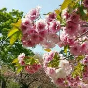 レイ　♡在庫売り尽くし♡