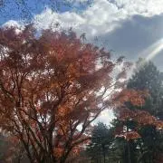かんちの画像