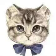 仔猫の画像