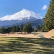あるるの画像