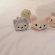 むーの画像