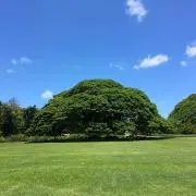 asu_09の画像