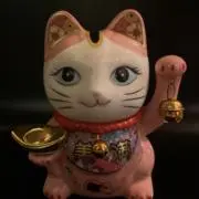 チキの画像