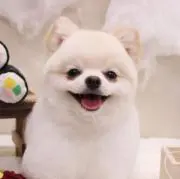yuuの画像