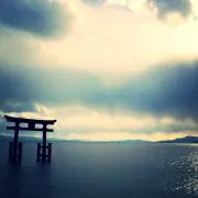はるの画像