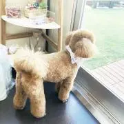 断捨離中の画像