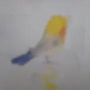 ふうの画像