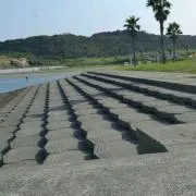 無味