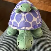 がくちゃんの画像