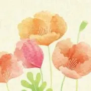 yuuuuuの画像