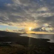 ぽむの画像