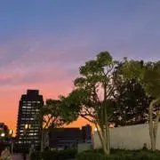 D&Yの画像