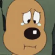 ポニたぬきの画像