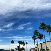 mu✱ポスト投函不可の物は平日発送の画像