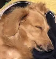 は〜ちゃん022の画像