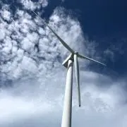 めぐひさ