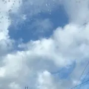 チャン我の画像