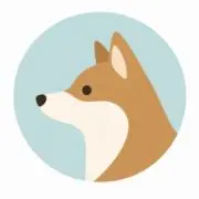 Yammyの画像
