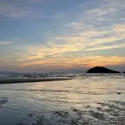 秋の画像