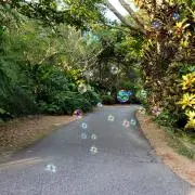 シキの画像