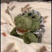 ⭐️ぽむ⭐️プロフ確認をお願いします!の画像
