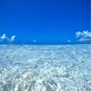 N'sの画像