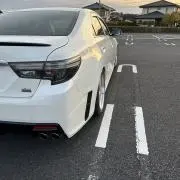 亀の画像