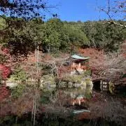 みさかの画像