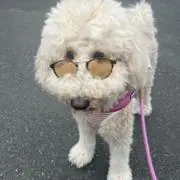 さぉりん(*^^*)❤︎