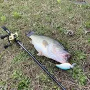 ノリーズ ロードランナー 650M & HB630M2本セットSP LTT - メルカリ