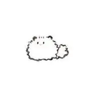 クロの画像