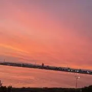 ひな