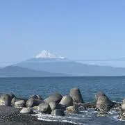 ちーたんの画像