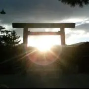 TK-YUKI（即日発送します。）の画像