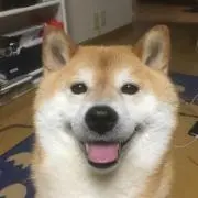RLメンテナンスの画像