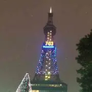 かえでの画像