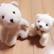 くまの画像