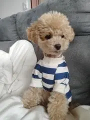 I♡N