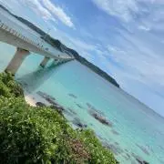 ともぞうの画像