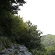 いちの画像