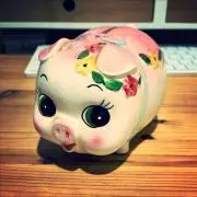 GERBERAの画像