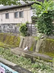 Mimimi